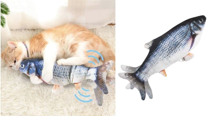cat entertainment fish